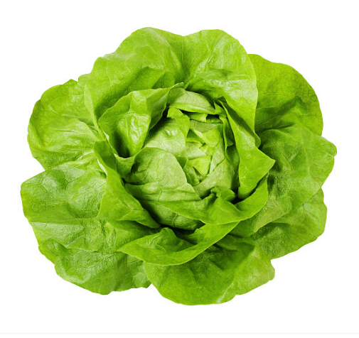 Lettuce Fancy Butterhead Bag