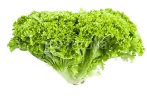 Lettuce Fancy Lollo Bionda Bag