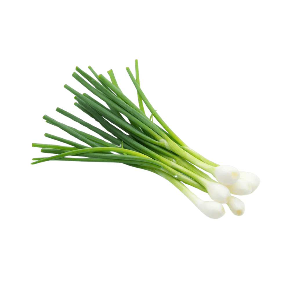 Spring Onion Bunch (Product of New Zealand)