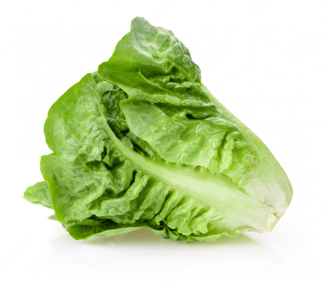 Lettuce Baby Cos Bag