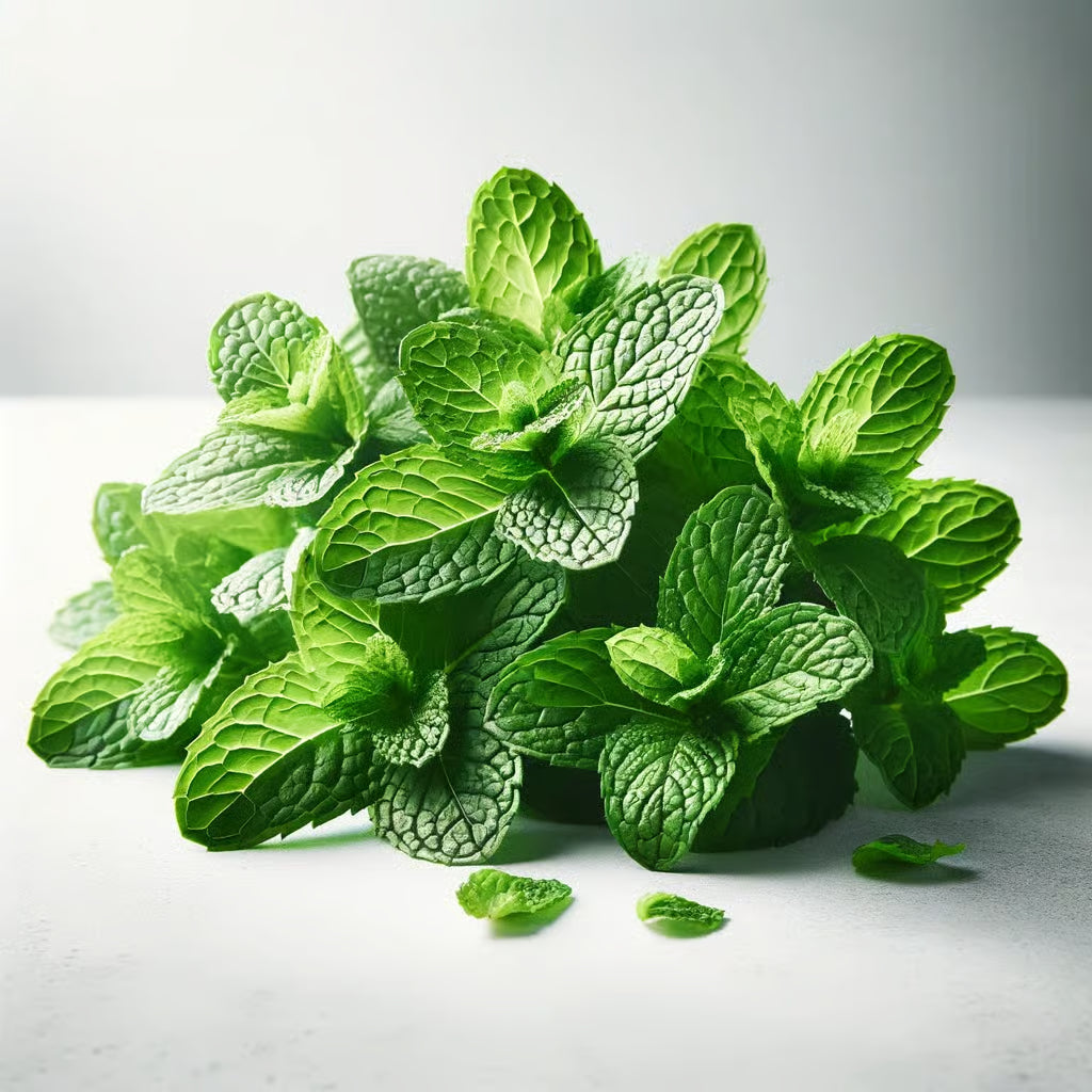 Fresh Herbs