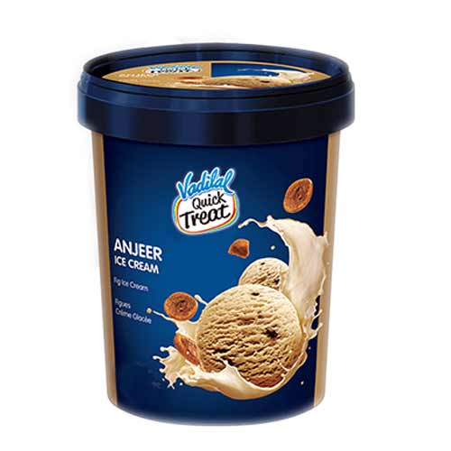 Vadilal Anjeer Ice Cream 500ml