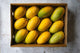 Indian Mangoes 9CT - 12CT (No credit or Refund)