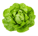 Lettuce Fancy Butterhead Bag