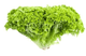 Lettuce Fancy Lollo Bionda Bag