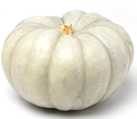 Pumpkin Crown (Small-Medium)