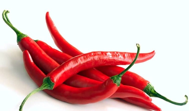 Chillies Red 50g Bag