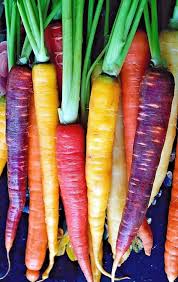 Carrots Baby Bunch Multi-Colour