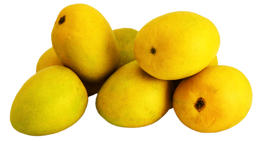 Indian Mangoes 9CT - 12CT (No credit or Refund)