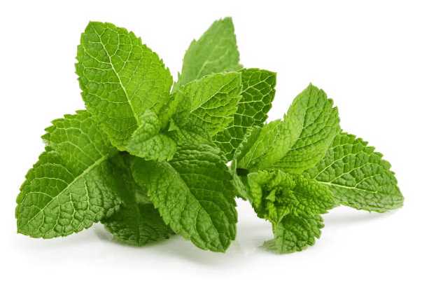 Herbs Mint 200g Bag